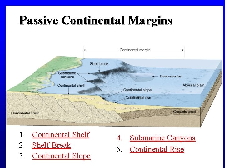 Passive Continental Margins 1. Continental Shelf 2. Shelf Break 3. Continental Slope 4. Submarine