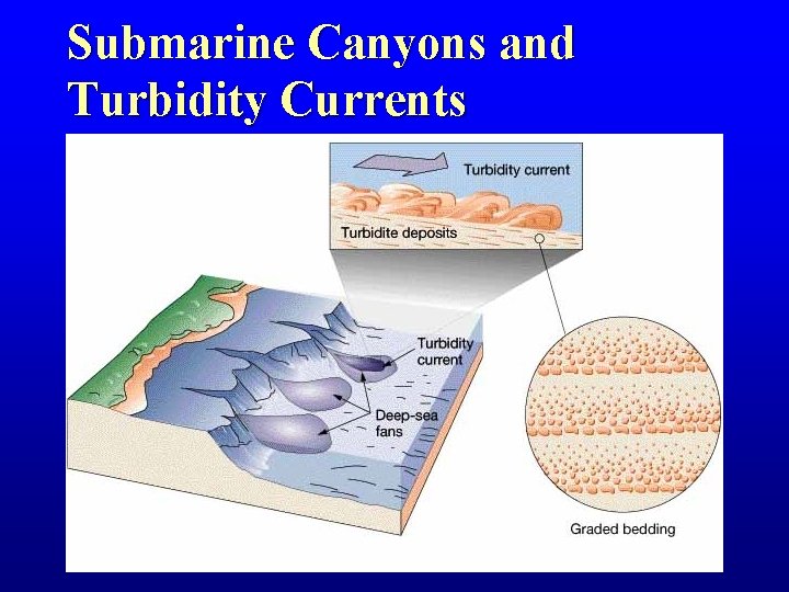 Submarine Canyons and Turbidity Currents 