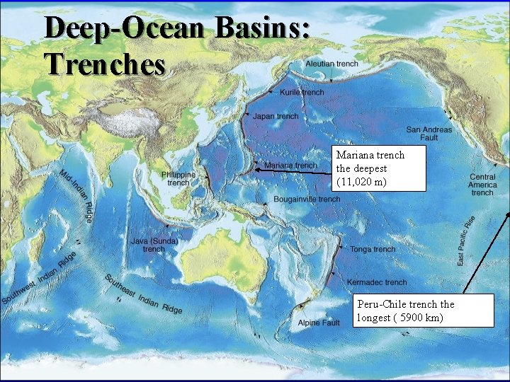 Deep-Ocean Basins: Trenches Mariana trench the deepest (11, 020 m) Peru-Chile trench the longest