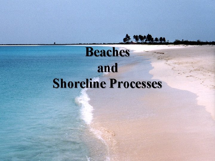 Beaches and Shoreline Processes 