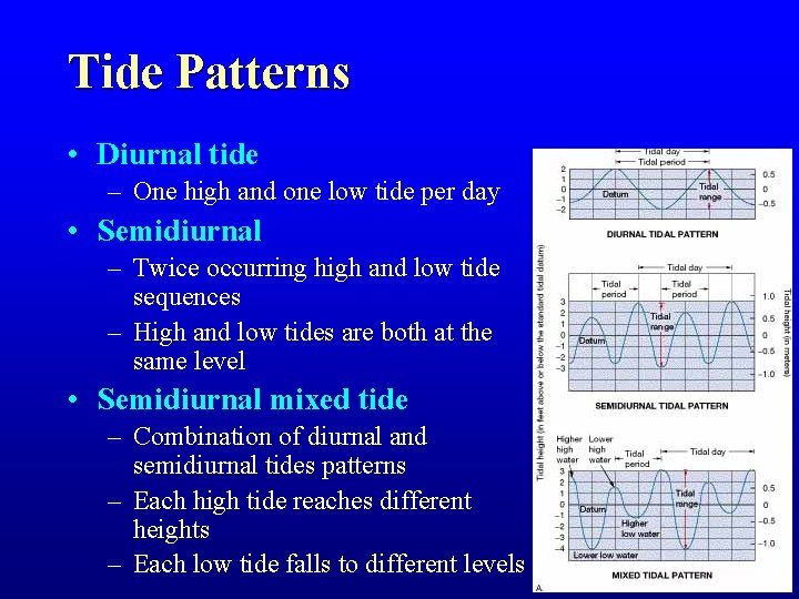 Tide Patterns • Diurnal tide – One high and one low tide per day