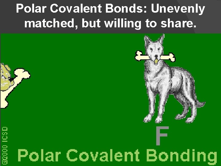 Polar Covalent Bonds: Unevenly matched, but willing to share. 