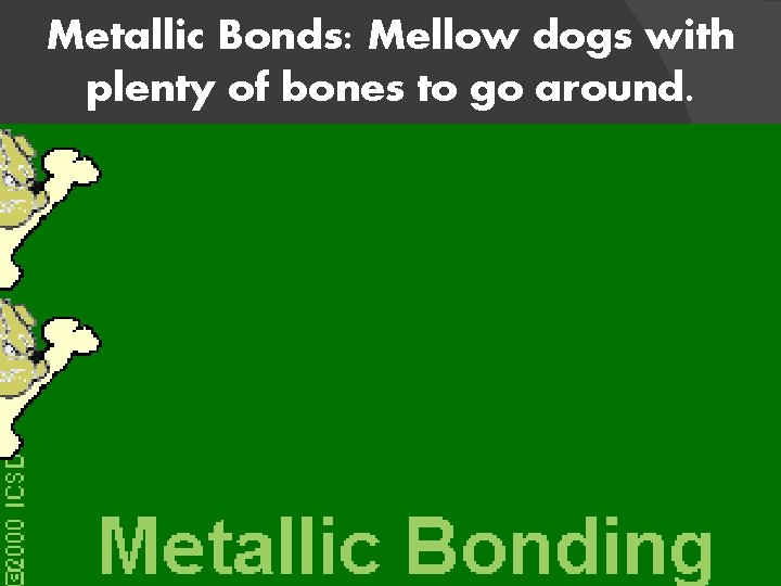 Metallic Bonds: Mellow dogs with plenty of bones to go around. 