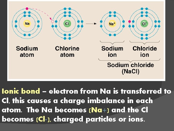 Ionic bond – electron from Na is transferred to Cl, this causes a charge