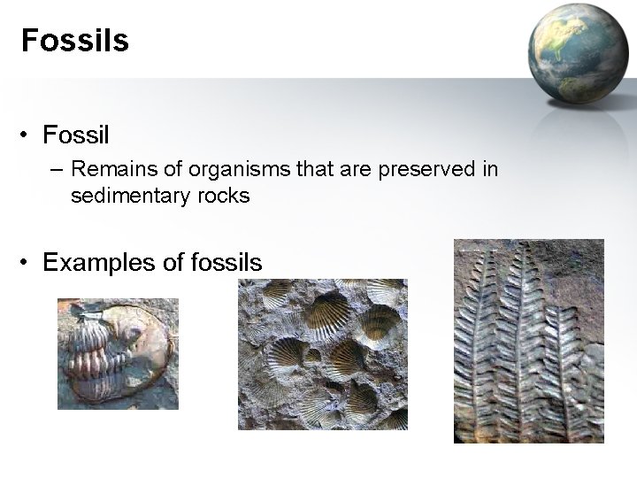 Fossils • Fossil – Remains of organisms that are preserved in sedimentary rocks •