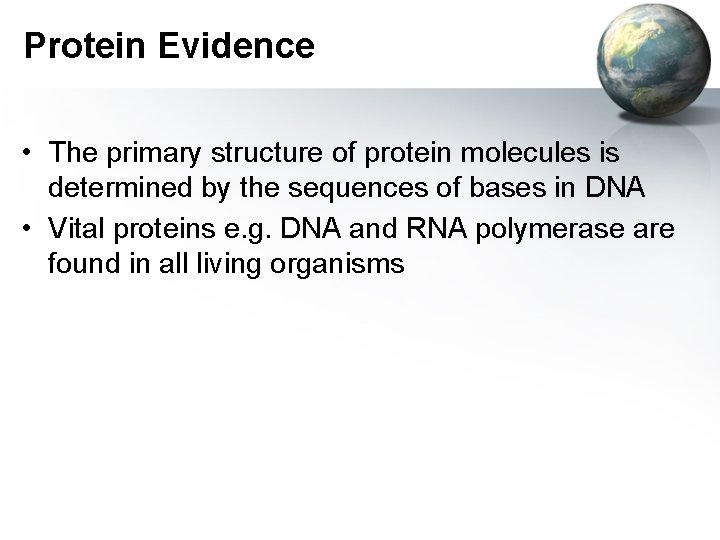Protein Evidence • The primary structure of protein molecules is determined by the sequences