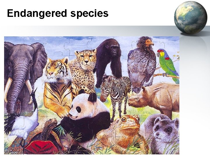 Endangered species 