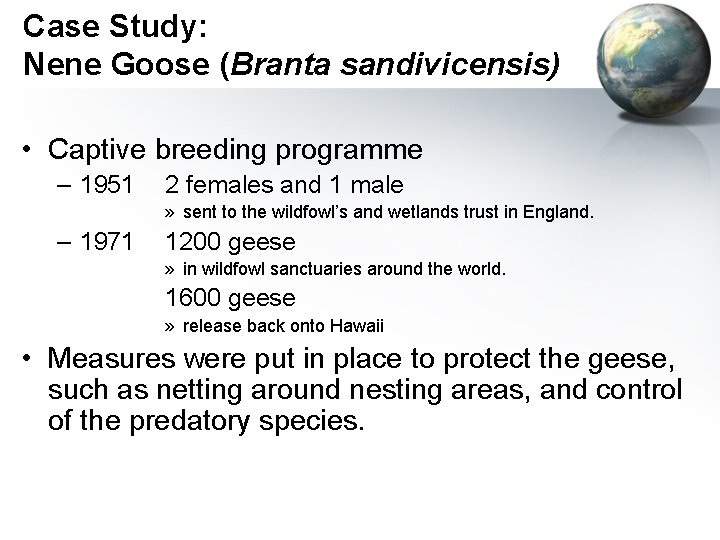 Case Study: Nene Goose (Branta sandivicensis) • Captive breeding programme – 1951 2 females