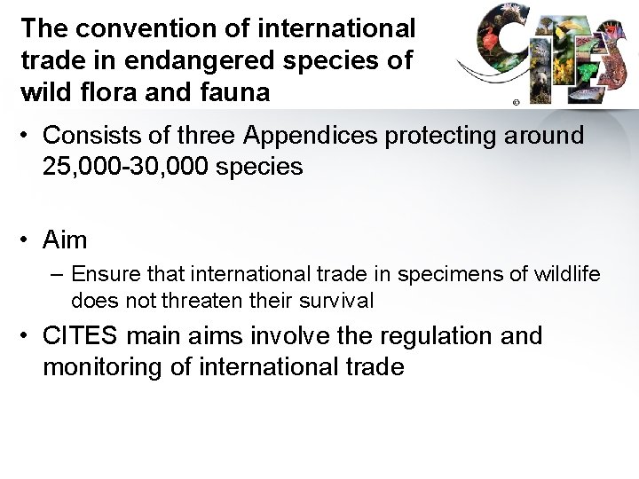 The convention of international trade in endangered species of wild flora and fauna •