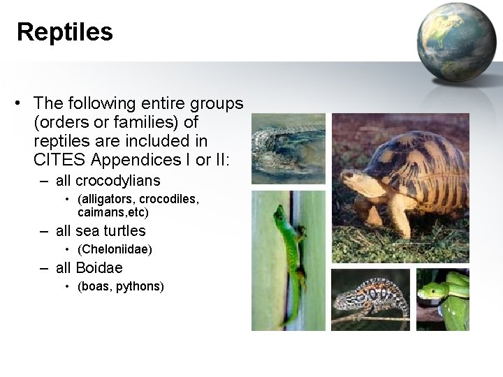 Reptiles • The following entire groups (orders or families) of reptiles are included in