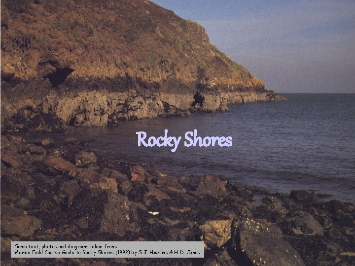 Rocky Shores Some text, photos and diagrams taken from: Marine Field Course Guide to