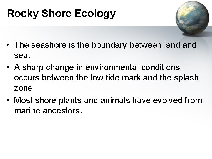 Rocky Shore Ecology • The seashore is the boundary between land sea. • A