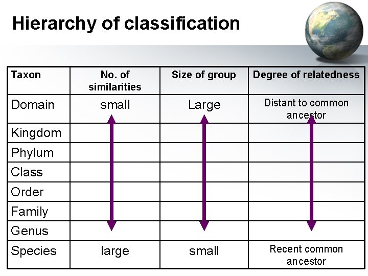 Hierarchy of classification Taxon Domain No. of similarities Size of group Degree of relatedness