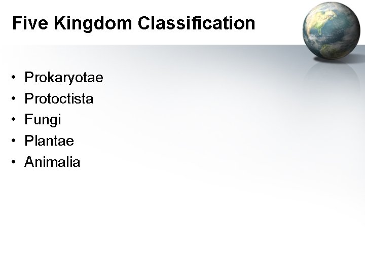 Five Kingdom Classification • • • Prokaryotae Protoctista Fungi Plantae Animalia 