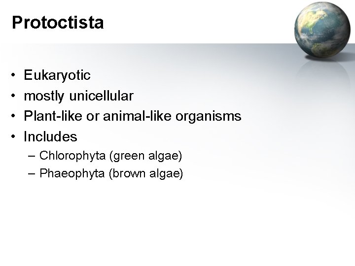 Protoctista • • Eukaryotic mostly unicellular Plant-like or animal-like organisms Includes – Chlorophyta (green