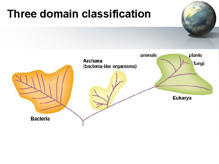 Three domain classification 