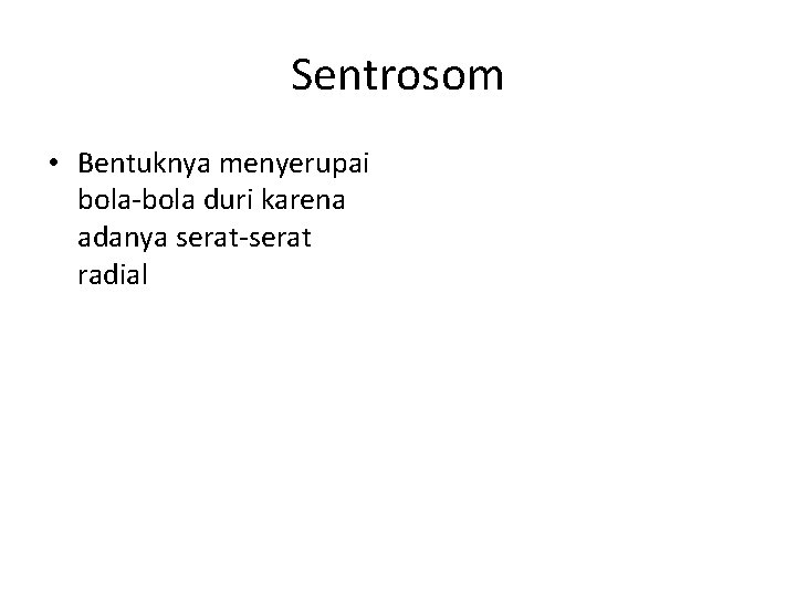 Sentrosom • Bentuknya menyerupai bola-bola duri karena adanya serat-serat radial 