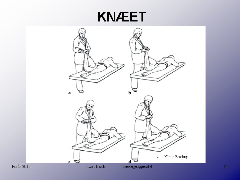 KNÆET Forår 2010 Lars Buch Bevægeapperatet Klaus Backup 14 