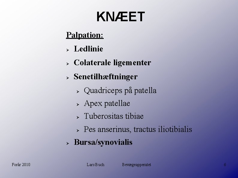 KNÆET Palpation: Ledlinie Colaterale ligementer Senetilhæftninger Forår 2010 Quadriceps på patella Apex patellae Tuberositas