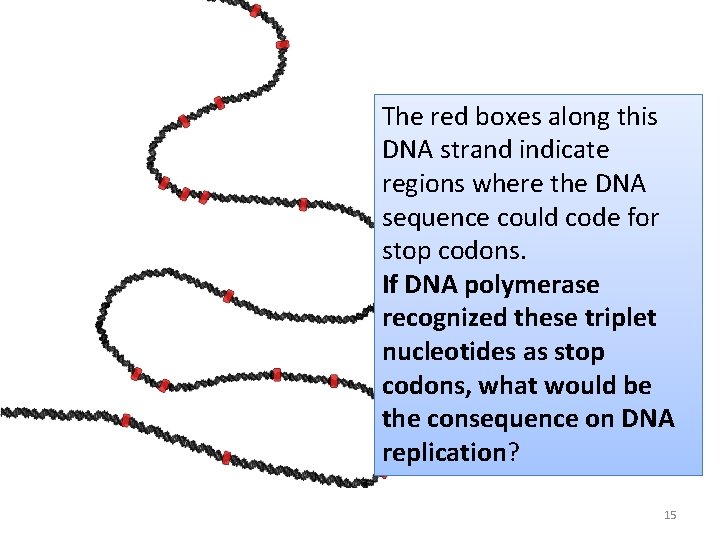 The red boxes along this DNA strand indicate regions where the DNA sequence could