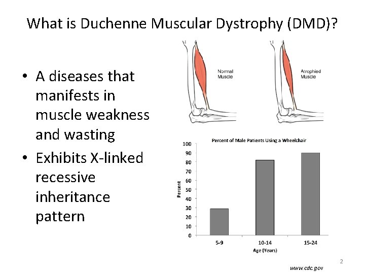 What is Duchenne Muscular Dystrophy (DMD)? • A diseases that manifests in muscle weakness