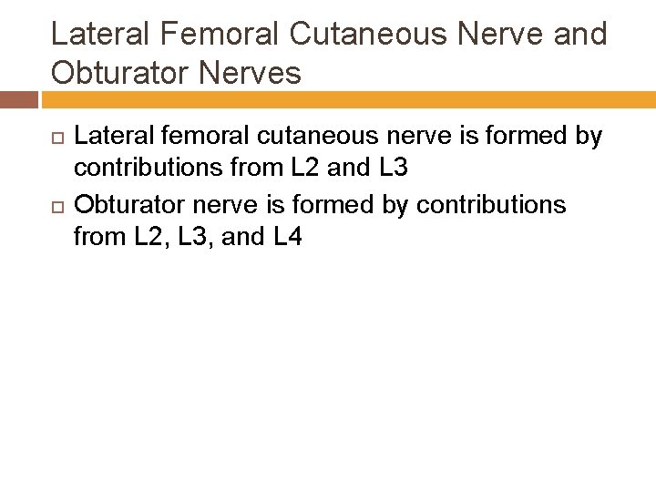Lateral Femoral Cutaneous Nerve and Obturator Nerves Lateral femoral cutaneous nerve is formed by