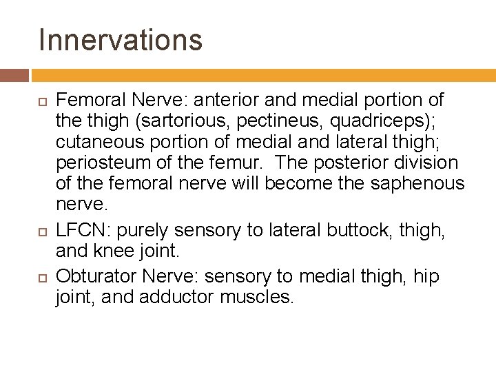 Innervations Femoral Nerve: anterior and medial portion of the thigh (sartorious, pectineus, quadriceps); cutaneous