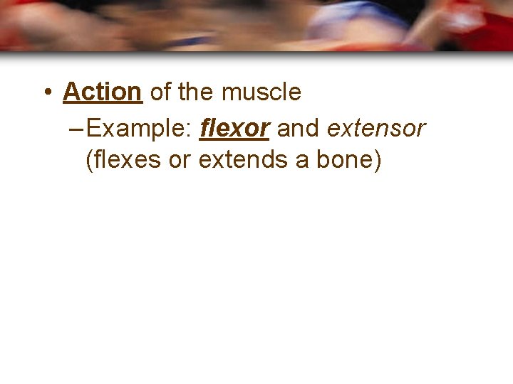  • Action of the muscle – Example: flexor and extensor (flexes or extends