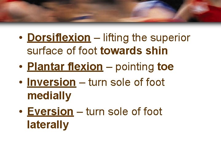  • Dorsiflexion – lifting the superior surface of foot towards shin • Plantar