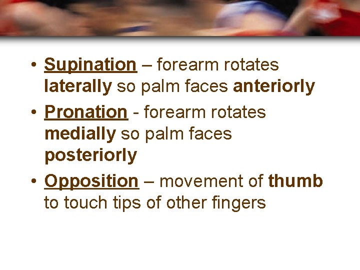  • Supination – forearm rotates laterally so palm faces anteriorly • Pronation -