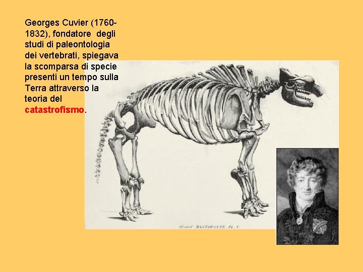 Georges Cuvier (17601832), fondatore degli studi di paleontologia dei vertebrati, spiegava la scomparsa di