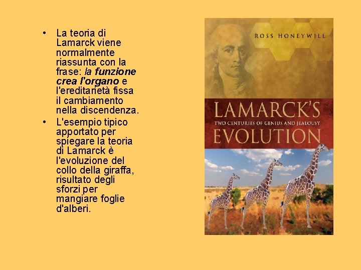  • La teoria di Lamarck viene normalmente riassunta con la frase: la funzione