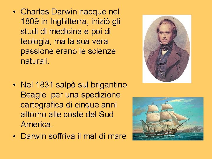  • Charles Darwin nacque nel 1809 in Inghilterra; iniziò gli studi di medicina