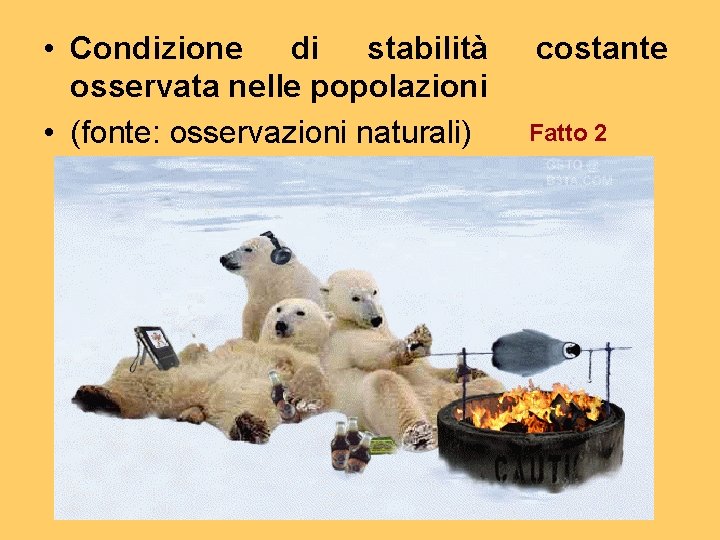  • Condizione di stabilità osservata nelle popolazioni • (fonte: osservazioni naturali) costante Fatto