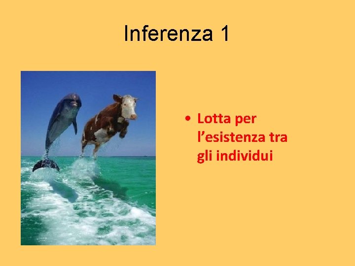 Inferenza 1 • Lotta per l’esistenza tra gli individui 