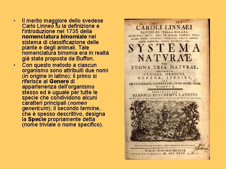 • • Il merito maggiore dello svedese Carlo Linneo fu la definizione e