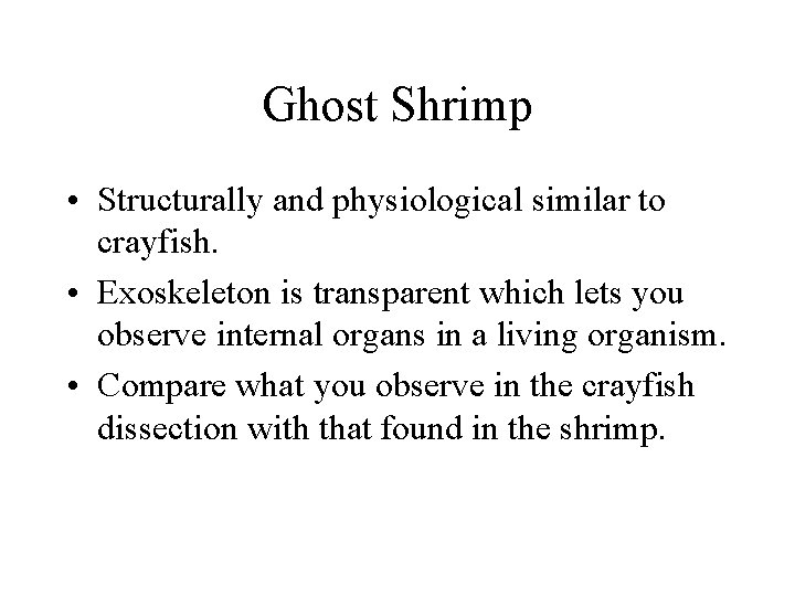 Ghost Shrimp • Structurally and physiological similar to crayfish. • Exoskeleton is transparent which