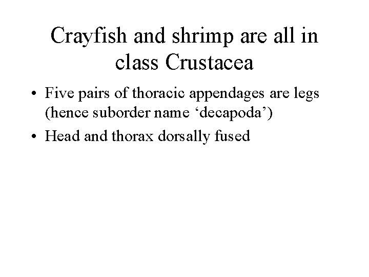 Crayfish and shrimp are all in class Crustacea • Five pairs of thoracic appendages