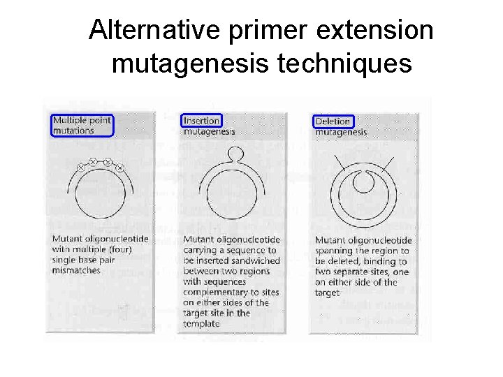 Alternative primer extension mutagenesis techniques 