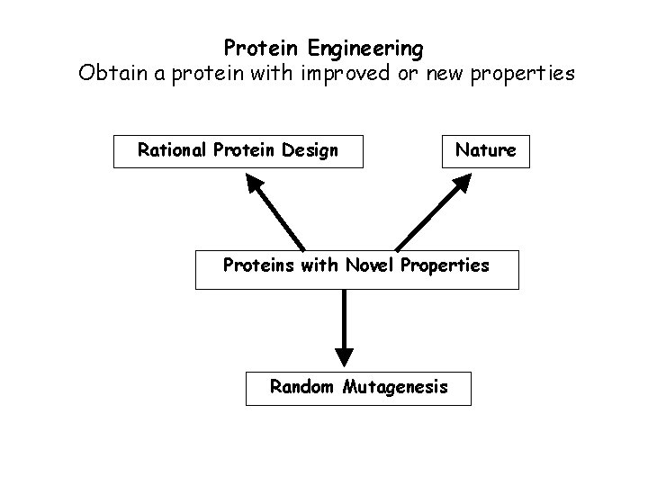 Protein Engineering Obtain a protein with improved or new properties Rational Protein Design Nature