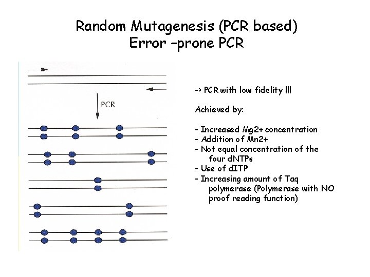 Random Mutagenesis (PCR based) Error –prone PCR -> PCR with low fidelity !!! Achieved