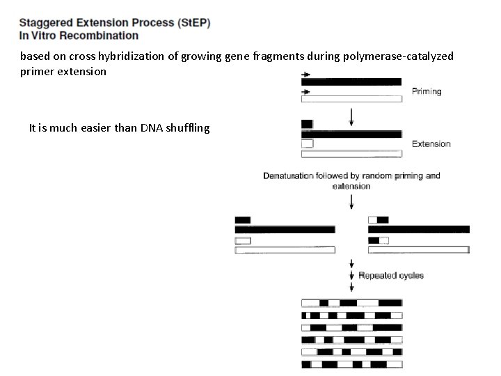 based on cross hybridization of growing gene fragments during polymerase-catalyzed primer extension It is