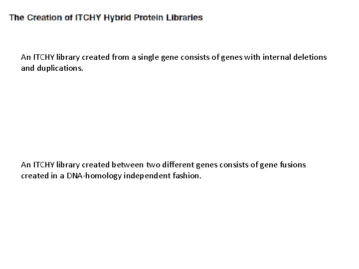 An ITCHY library created from a single gene consists of genes with internal deletions