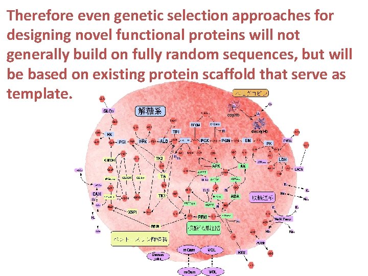 Therefore even genetic selection approaches for designing novel functional proteins will not generally build