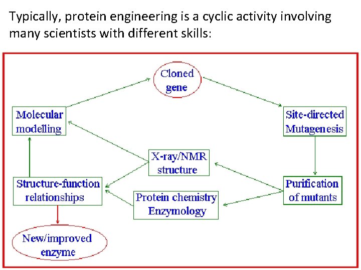 Typically, protein engineering is a cyclic activity involving many scientists with different skills: 