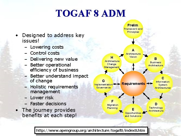 TOGAF 8 ADM Prelim: Framework and Principles • Designed to address key issues! –