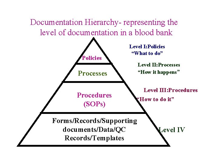 Documentation Hierarchy- representing the level of documentation in a blood bank Policies Level I: Documentation Hierarchy- representing the level of documentation in a blood bank Policies Level I: