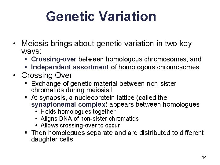 Genetic Variation • Meiosis brings about genetic variation in two key ways: § Crossing-over