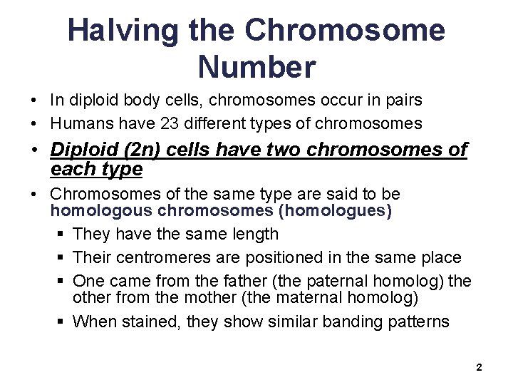 Halving the Chromosome Number • In diploid body cells, chromosomes occur in pairs •