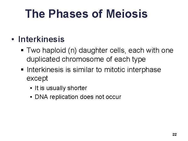 The Phases of Meiosis • Interkinesis § Two haploid (n) daughter cells, each with